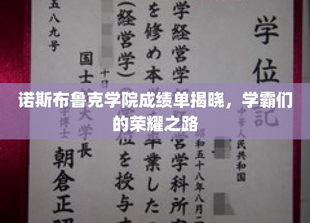 学霸风采绽放，诺斯布鲁克学院成绩单揭秘荣耀时刻