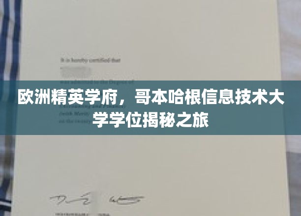 解码哥本哈根，揭开IT精英学府的学位奥秘之旅