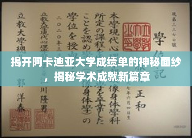 阿卡迪亚大学成绩单揭秘，解锁学术卓越的秘密之门