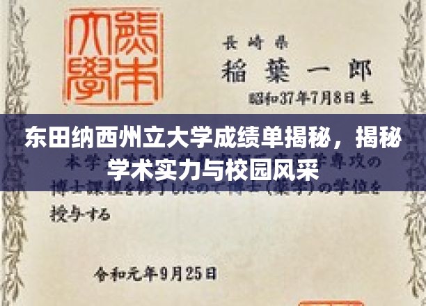 东田纳西州立大学成绩单揭秘，揭秘学术实力与校园风采