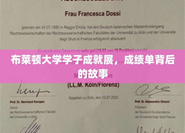 布莱顿大学学子成就展，成绩单背后的故事