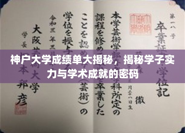 神户大学成绩单大揭秘，揭秘学子实力与学术成就的密码