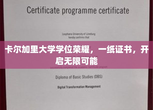 卡尔加里大学学位见证，开启人生新篇章无限之旅