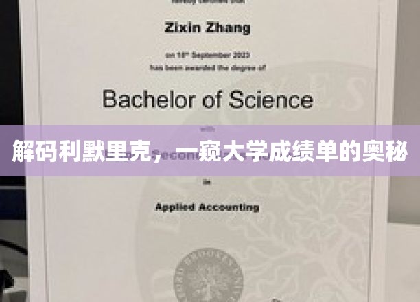 揭秘利默里克大学，成绩单背后的秘密世界