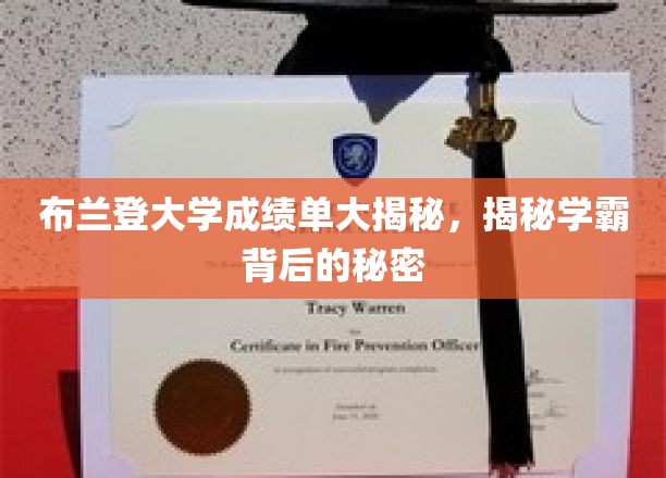 布兰登大学成绩单揭秘，探寻学霸背后的奥秘