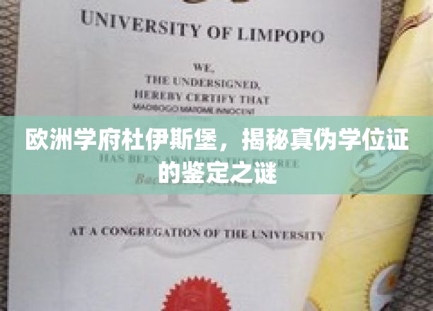 欧洲学府杜伊斯堡，揭秘真伪学位证的鉴定之谜