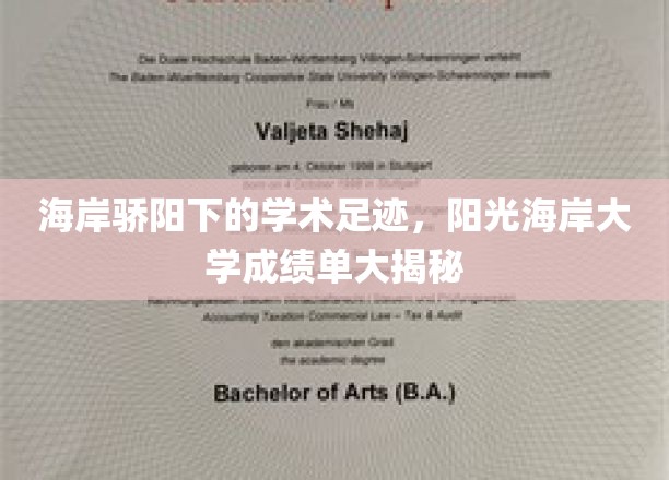 阳光海岸大学，揭秘海岸线上的学术辉煌成就