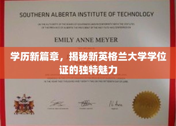 学历新篇章，揭秘新英格兰大学学位证的独特魅力