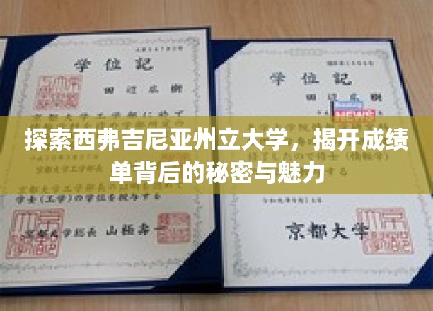 解锁西弗吉尼亚州立大学，成绩单背后的学术风采与传奇故事