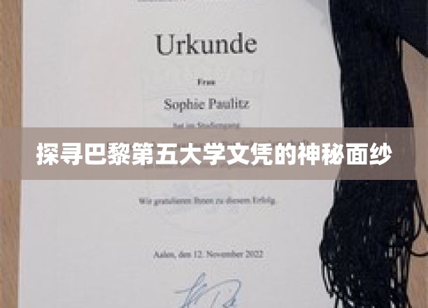 探寻巴黎第五大学文凭的神秘面纱