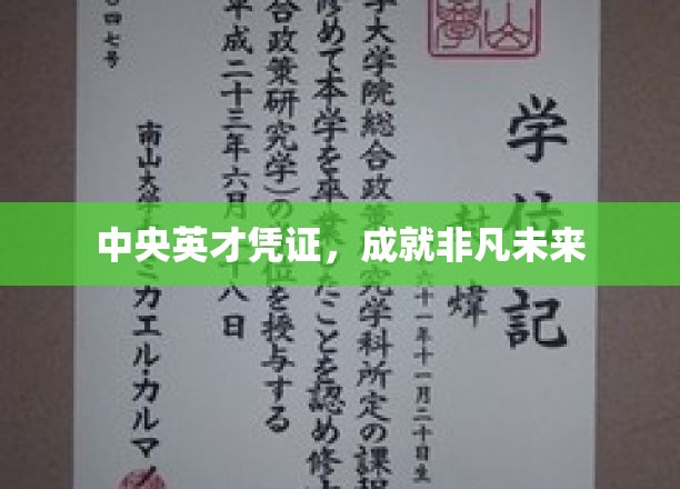 解锁中央英才秘钥，共绘辉煌人生蓝图