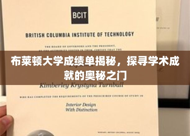 布莱顿大学成绩单揭秘，探寻学术成就的奥秘之门