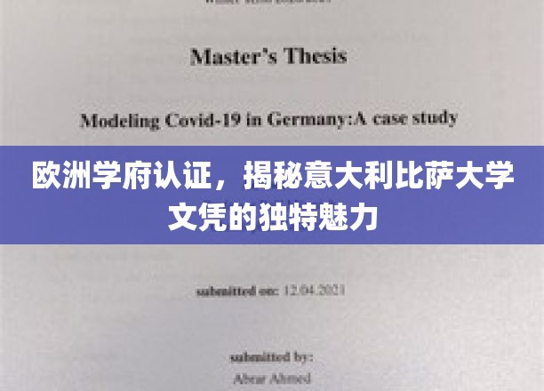 解锁意大利比萨大学，欧洲认证下的卓越文凭风采