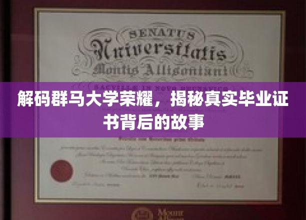 群马大学传奇揭秘，毕业证书背后的不为人知篇章