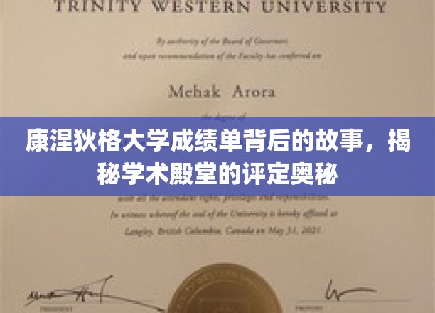 康涅狄格大学成绩单背后的故事，揭示学术殿堂的评定奥秘