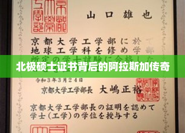 极地精英，揭秘北极硕士背后的阿拉斯加传奇之路