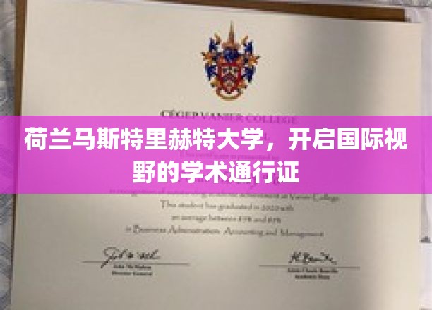 解锁全球视野，荷兰马斯特里赫特大学的学术通行证之旅