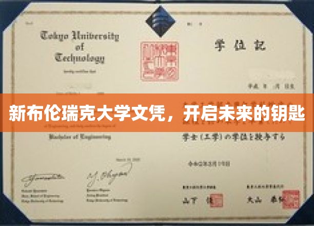 解锁未来之路，新布伦瑞克大学文凭，成就非凡人生