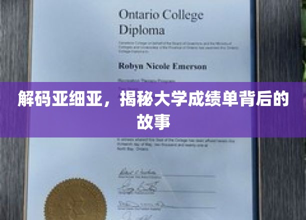 探寻成绩单背后，亚细亚学子成长轨迹大揭秘