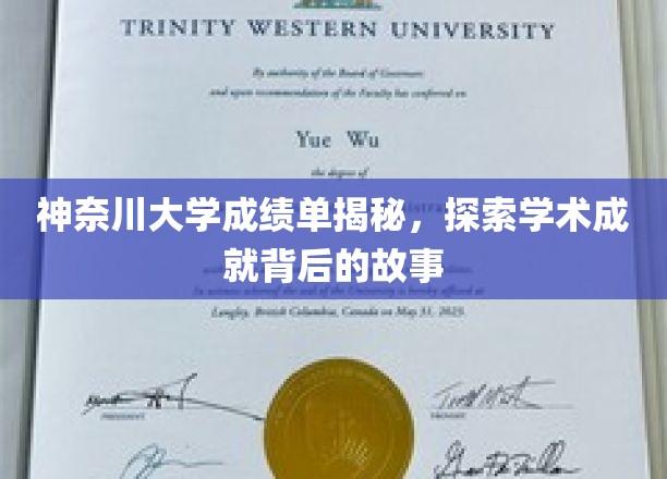 解码神奈川大学卓越成绩，揭秘学术精英背后的奋斗之路
