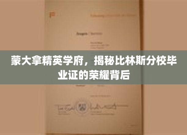 蒙大拿精英摇篮，比林斯分校毕业证的光辉与奥秘