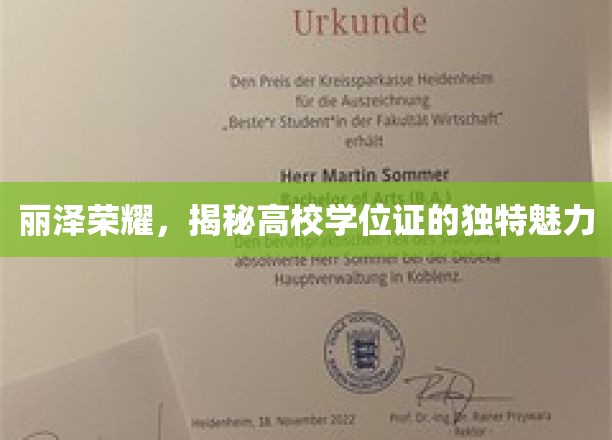 高校学位证背后的丽泽之光，探寻学位证书的独特风采