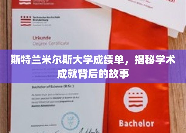 斯特兰米尔斯大学成绩单，揭秘学术成就背后的故事