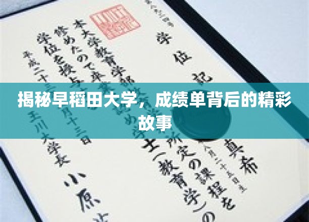 早稻田大学成绩单，探寻隐藏其中的学术传奇与青春记忆