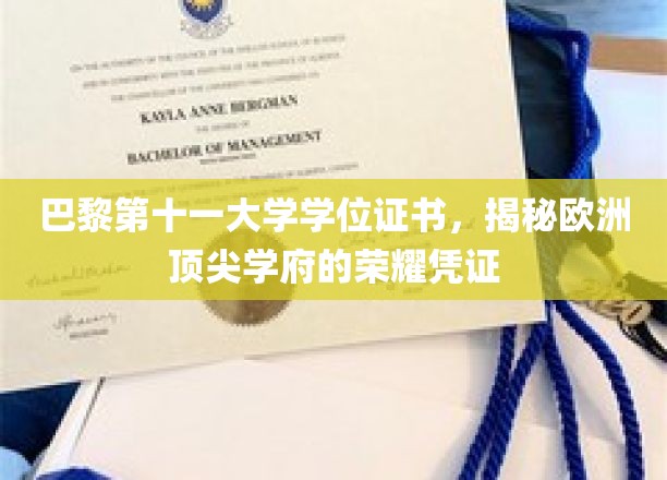 欧洲名校荣耀证，一纸巴黎第十一大学学位，见证非凡学术成就
