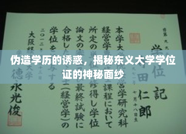 学历镀金背后的隐秘世界，东义大学学位证之谜揭晓