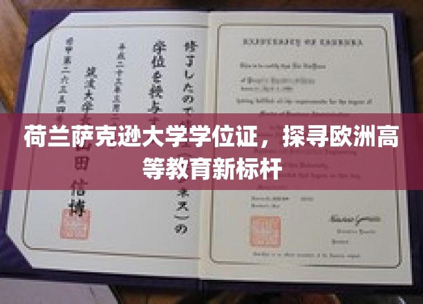 荷兰萨克逊大学学位证，探寻欧洲高等教育新标杆