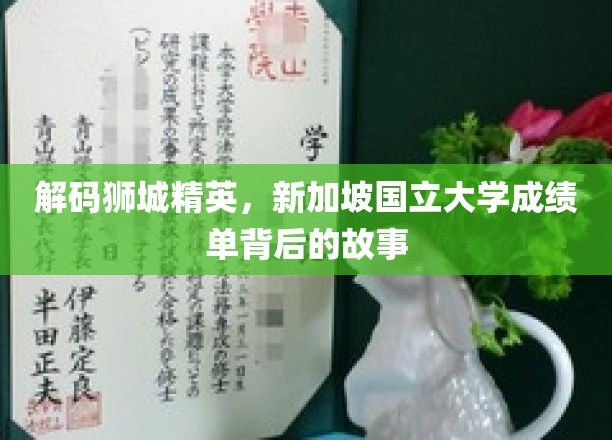 解码狮城精英，新加坡国立大学成绩单背后的故事