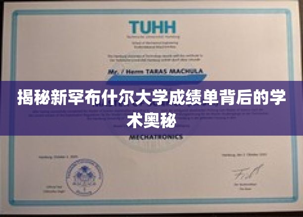 探索新罕布什尔大学成绩单背后的独特学术风景