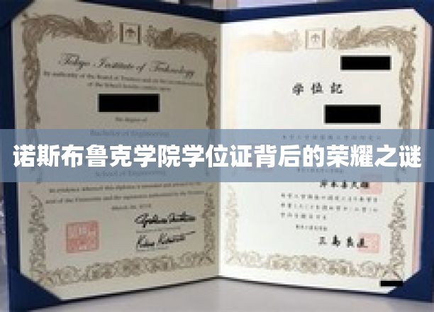 揭开诺斯布鲁克学院学位证背后的传奇荣耀面纱