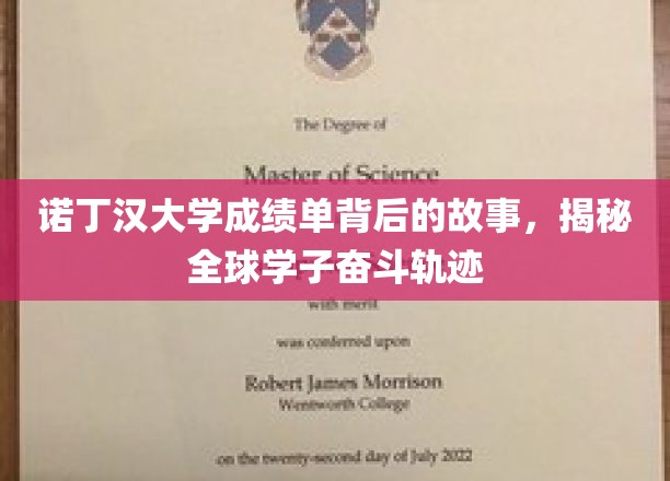探寻诺丁汉大学成绩单背后的传奇，学子们的奋斗足迹全解析