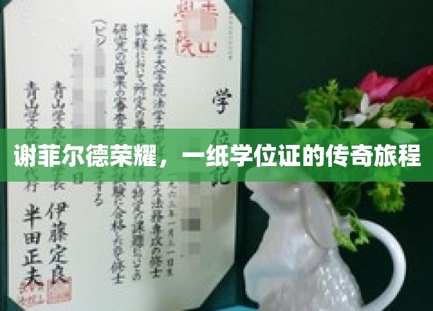 谢菲尔德荣耀之路，学位证背后的非凡征程
