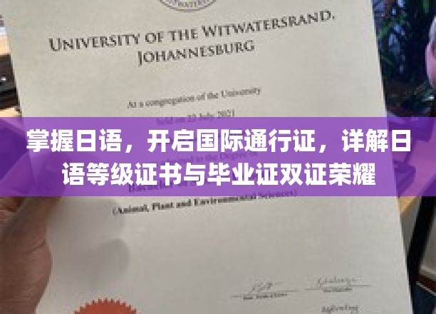 日语双证荣耀，解锁国际通行证，成就未来无限可能
