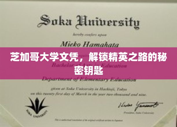 芝加哥大学文凭，开启通往精英殿堂的神秘之门