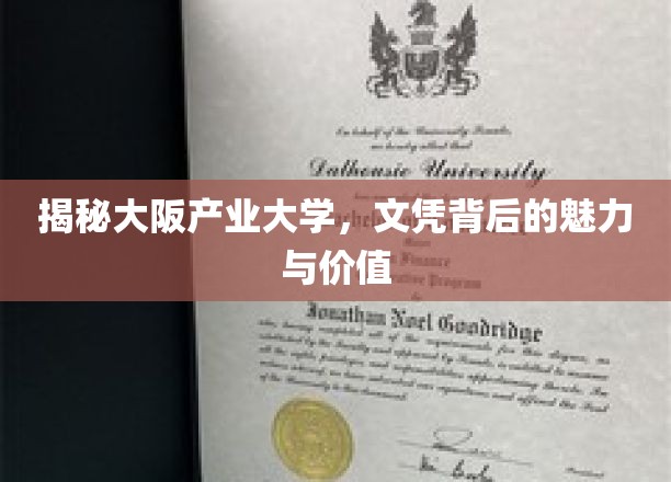 解码大阪产业大学，文凭背后的独特魅力与无限可能