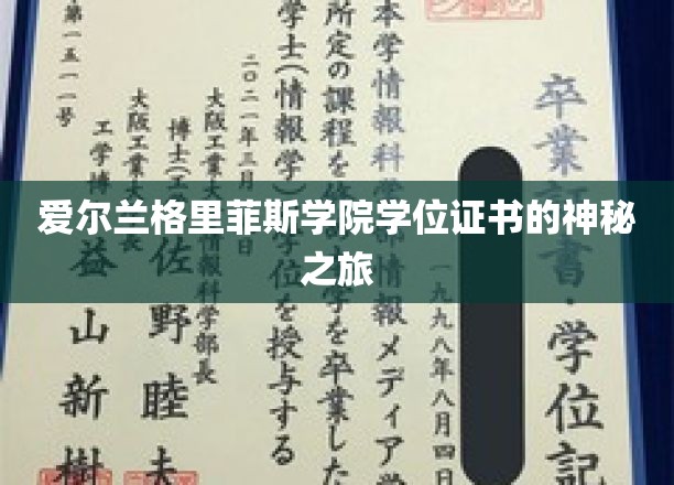 探索爱尔兰格里菲斯学院学位证书的非凡征途
