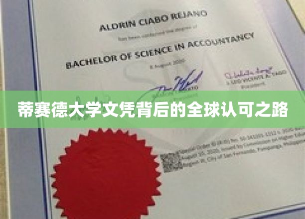 蒂赛德大学荣誉证书背后的全球认可之路