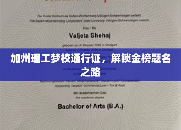 加州理工独家通行证，开启金榜题名新篇章