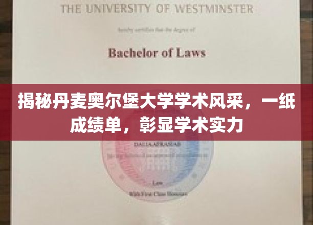 穿越学术殿堂，奥尔堡大学成绩单诠释非凡实力