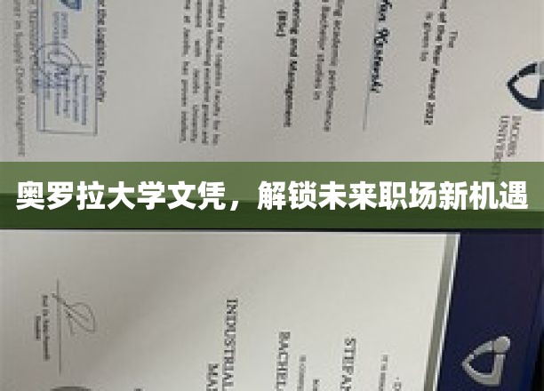 奥罗拉大学文凭，解锁未来职场新机遇