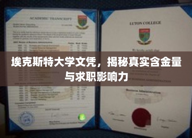 埃克斯特大学文凭价值揭秘，求职场上的实力派凭证