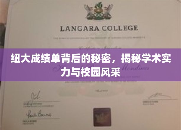 解码纽大成绩单，探寻学术辉煌与校园魅力之谜