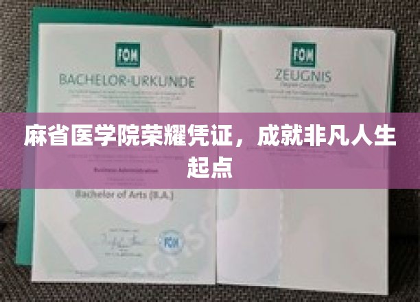 麻省医学院荣耀凭证，成就非凡人生起点