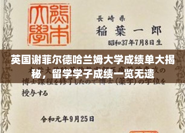 英伦学府谢菲尔德哈兰姆大学，留学学子成绩秘档曝光！