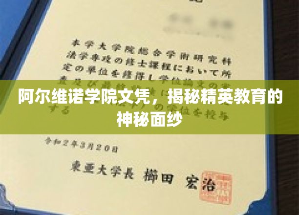 阿尔维诺学院文凭，揭开精英教育的神秘面纱
