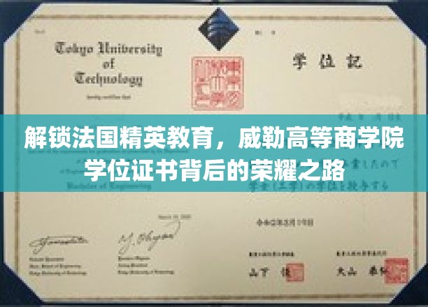 解锁法国精英教育，威勒高等商学院学位证书背后的荣耀之路